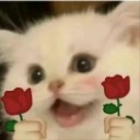 hao