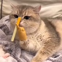 隔壁老王